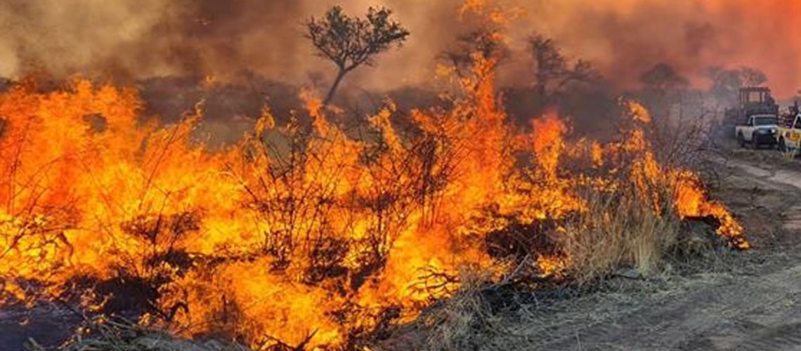 front_Etosha-min